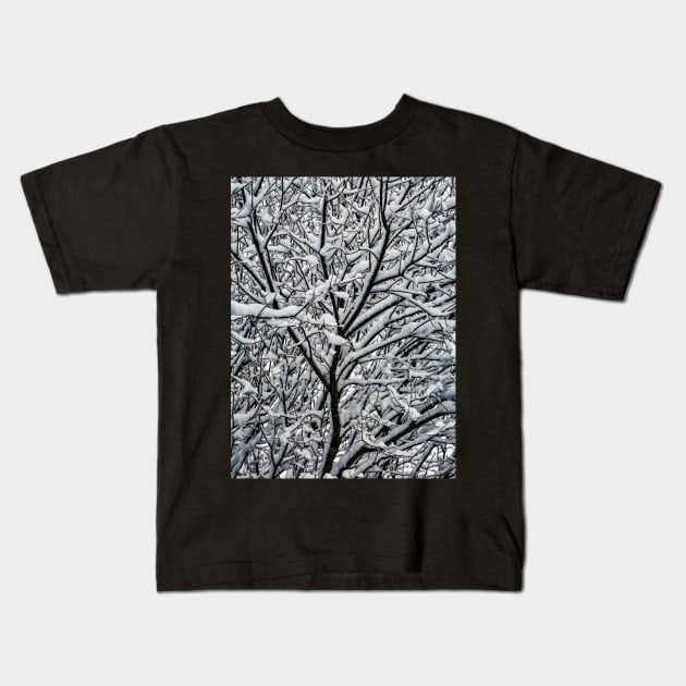 Snow Covered Winter Tree Branches Kids T-Shirt by derek beattie